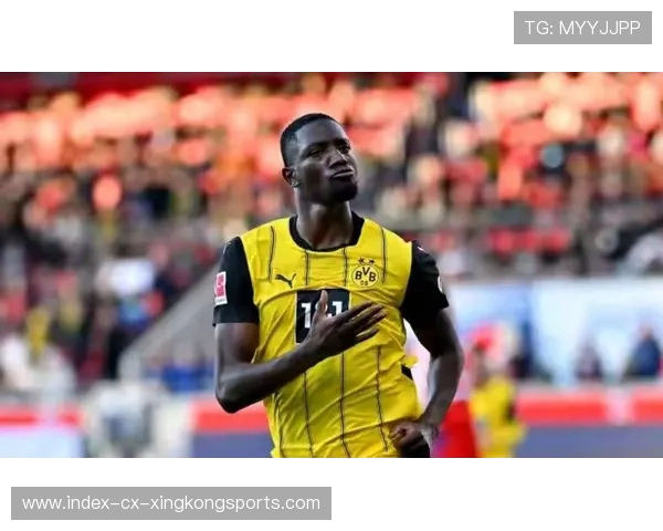 多特锋线在禁区内的抢点意识成就多次建功——解码门前效率的奥秘